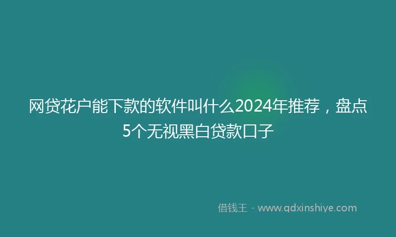 网贷花户能下款的软件叫什么2024年推荐，盘点5个无视黑白贷款口子