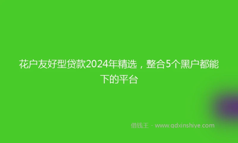 花户友好型贷款2024年精选，整合5个黑户都能下的平台