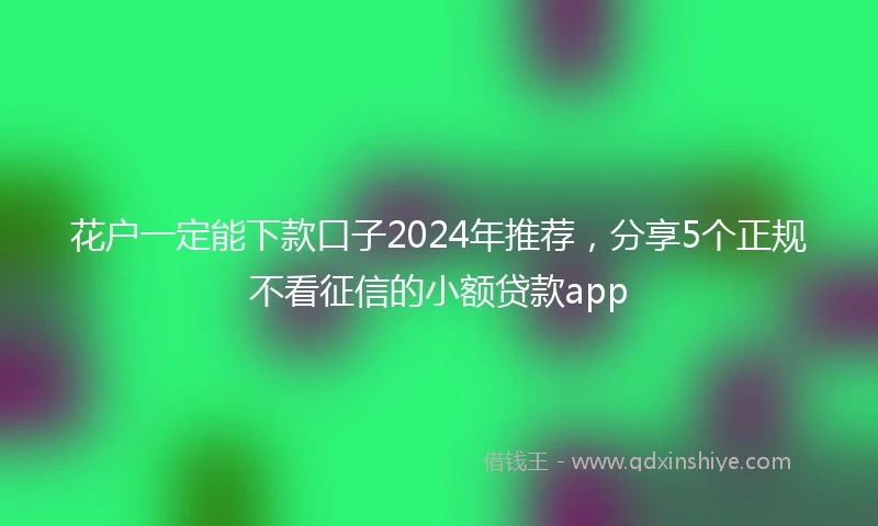 花户一定能下款口子2024年推荐，分享5个正规不看征信的小额贷款app