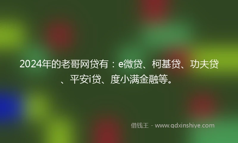2024年的老哥网贷有：e微贷、柯基贷、功夫贷、平安i贷、度小满金融等。