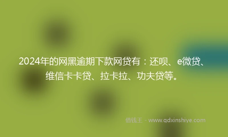 2024年的网黑逾期下款网贷有：还呗、e微贷、维信卡卡贷、拉卡拉、功夫贷等。