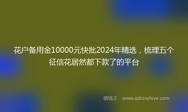 花户备用金10000元快批2024年精选，梳理五个征信花居然都下款了的平台