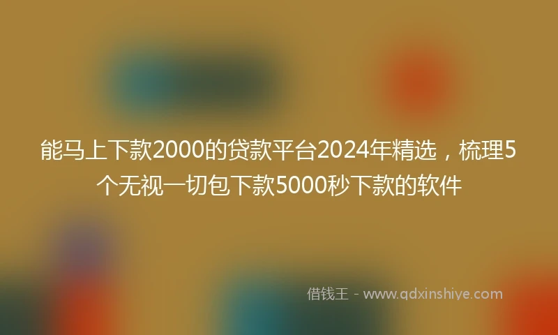 能马上下款2000的贷款平台2024年精选，梳理5个无视一切包下款5000秒下款的软件