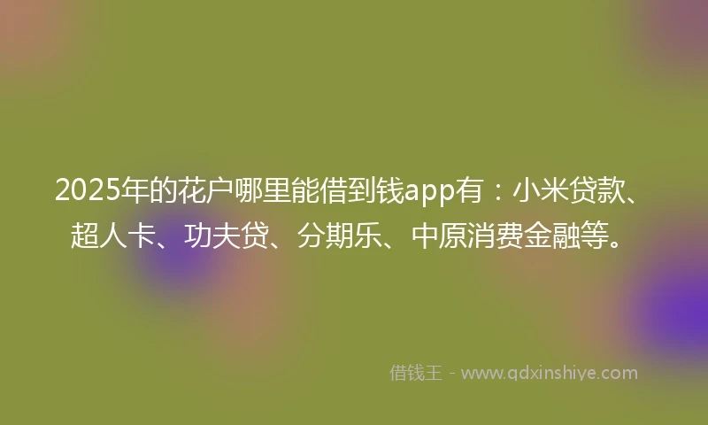 2025年的花户哪里能借到钱app有：小米贷款、超人卡、功夫贷、分期乐、中原消费金融等。