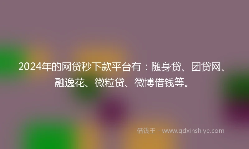 2024年的网贷秒下款平台有：随身贷、团贷网、融逸花、微粒贷、微博借钱等。