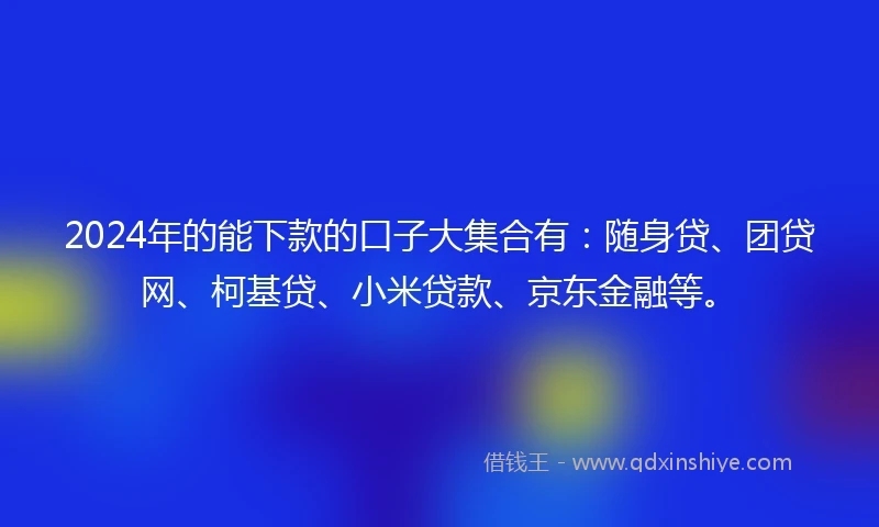 2024年的能下款的口子大集合有：随身贷、团贷网、柯基贷、小米贷款、京东金融等。