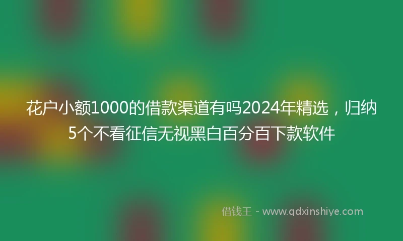 花户小额1000的借款渠道有吗2024年精选，归纳5个不看征信无视黑白百分百下款软件