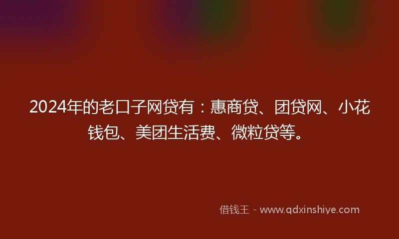 2024年的老口子网贷有：惠商贷、团贷网、小花钱包、美团生活费、微粒贷等。