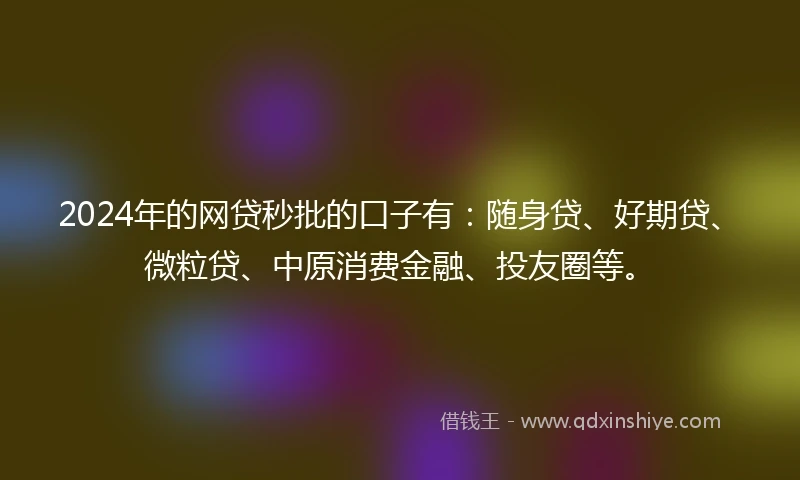 2024年的网贷秒批的口子有：随身贷、好期贷、微粒贷、中原消费金融、投友圈等。