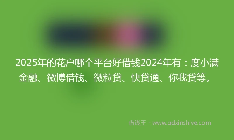 2025年的花户哪个平台好借钱2024年有：度小满金融、微博借钱、微粒贷、快贷通、你我贷等。