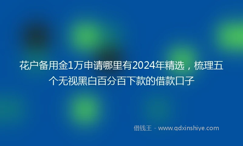 花户备用金1万申请哪里有2024年精选，梳理五个无视黑白百分百下款的借款口子