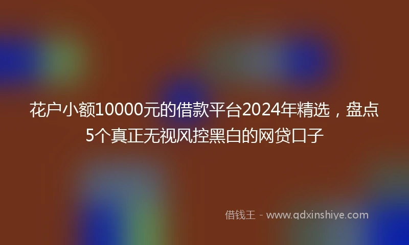花户小额10000元的借款平台2024年精选，盘点5个真正无视风控黑白的网贷口子