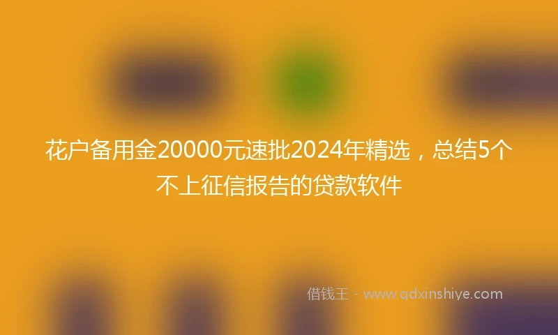 花户备用金20000元速批2024年精选，总结5个不上征信报告的贷款软件