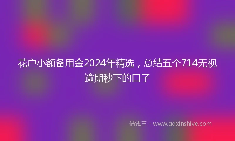 花户小额备用金2024年精选，总结五个714无视逾期秒下的口子