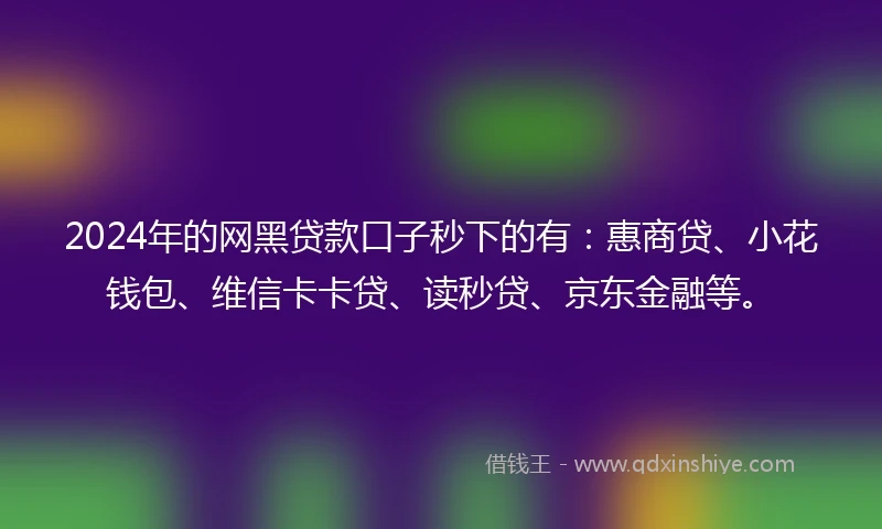 2024年的网黑贷款口子秒下的有：惠商贷、小花钱包、维信卡卡贷、读秒贷、京东金融等。