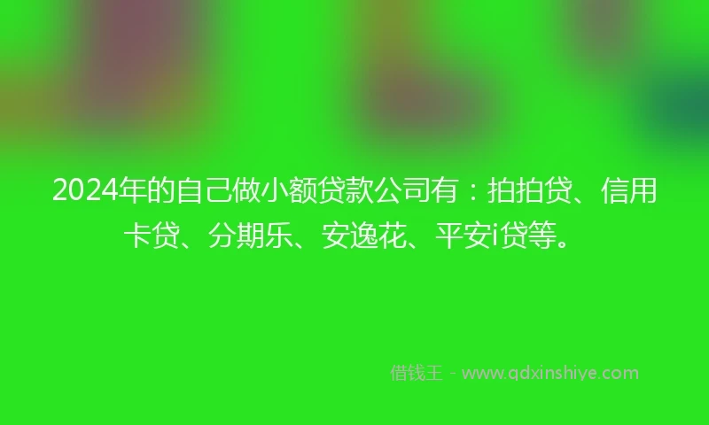 2024年的自己做小额贷款公司有：拍拍贷、信用卡贷、分期乐、安逸花、平安i贷等。