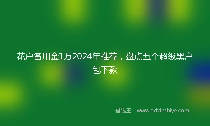 花户备用金1万2024年推荐,盘点五个超级黑户包下款