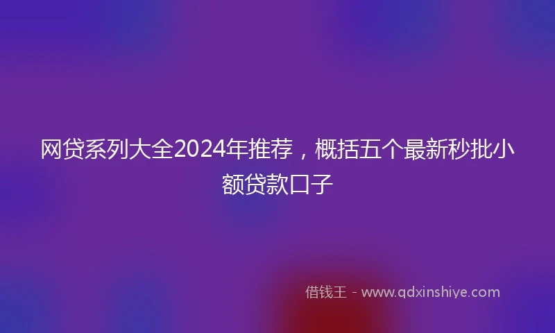 网贷系列大全2024年推荐，概括五个最新秒批小额贷款口子