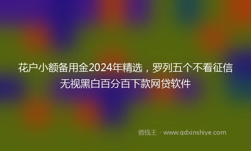 花户小额备用金2024年精选，罗列五个不看征信无视黑白百分百下款网贷软件