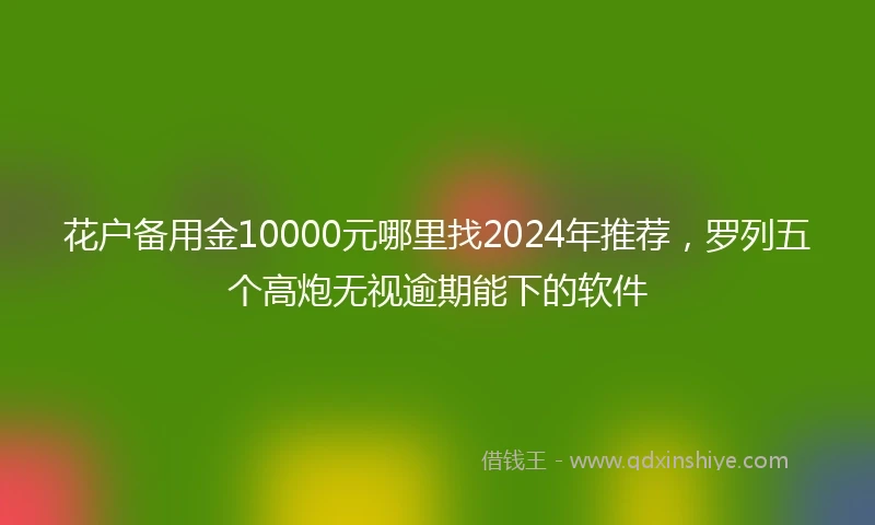花户备用金10000元哪里找2024年推荐，罗列五个高炮无视逾期能下的软件