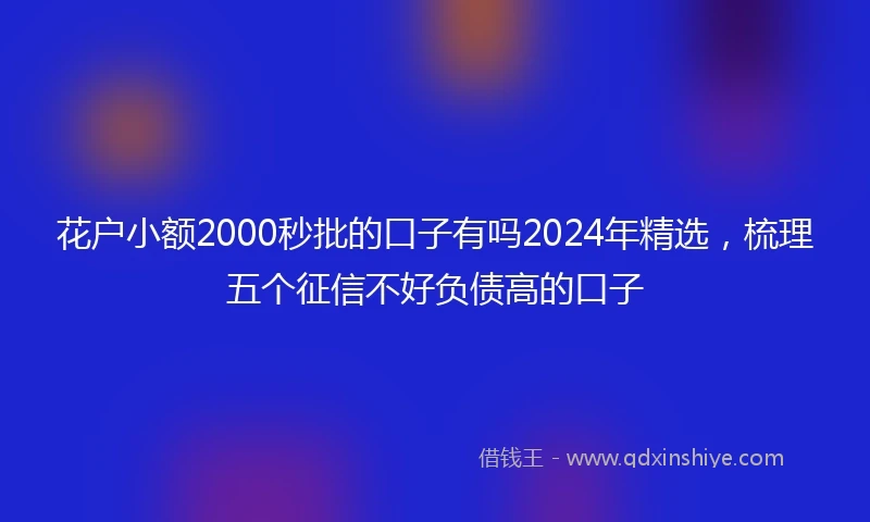 花户小额2000秒批的口子有吗2024年精选,梳理五个征信不好负债高的口子