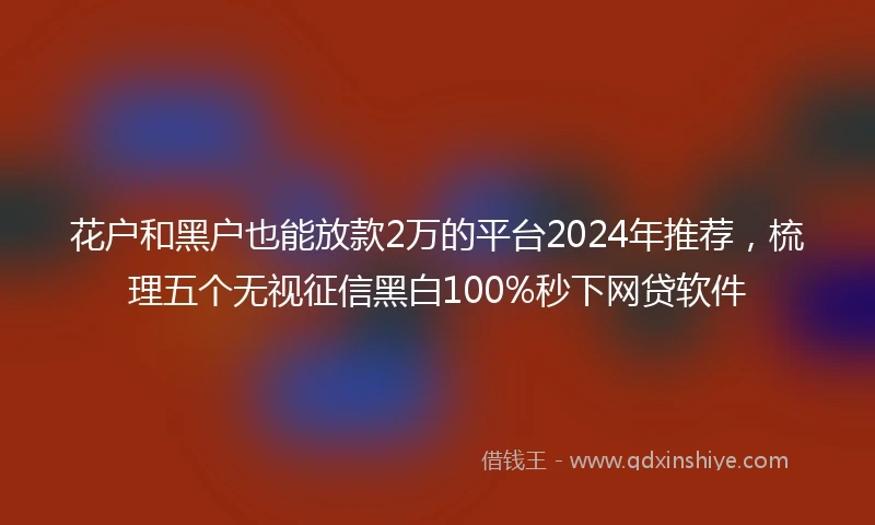花户和黑户也能放款2万的平台2024年推荐，梳理五个无视征信黑白100%秒下网贷软件