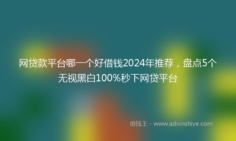 网贷款平台哪一个好借钱2024年推荐，盘点5个无视黑白100%秒下网贷平台