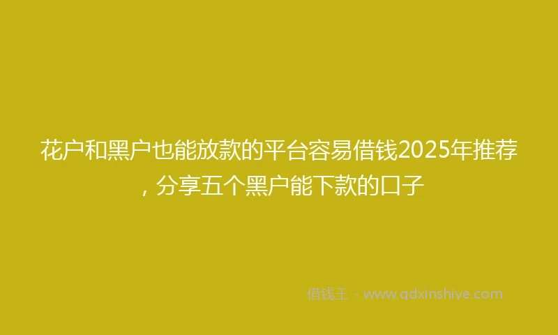 花户和黑户也能放款的平台容易借钱2025年推荐，分享五个黑户能下款的口子