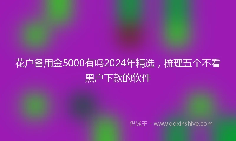 花户备用金5000有吗2024年精选，梳理五个不看黑户下款的软件