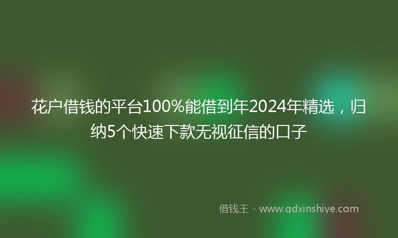 花户借钱的平台100%能借到年2024年精选，归纳5个快速下款无视征信的口子