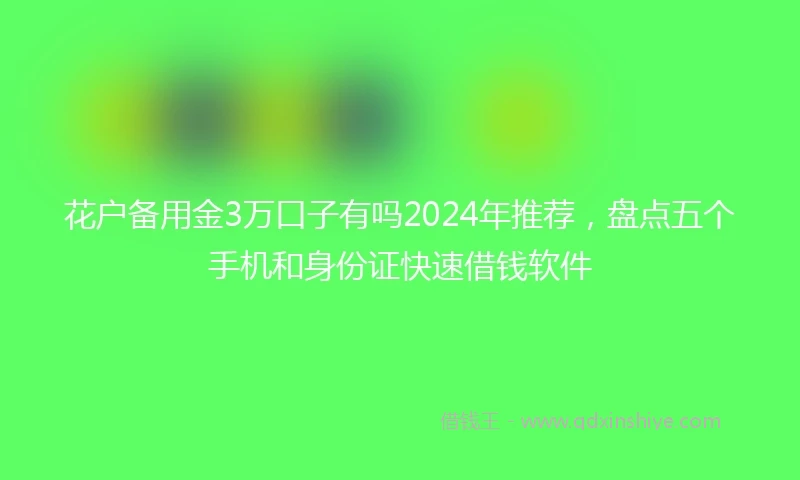 花户备用金3万口子有吗2024年推荐，盘点五个手机和身份证快速借钱软件