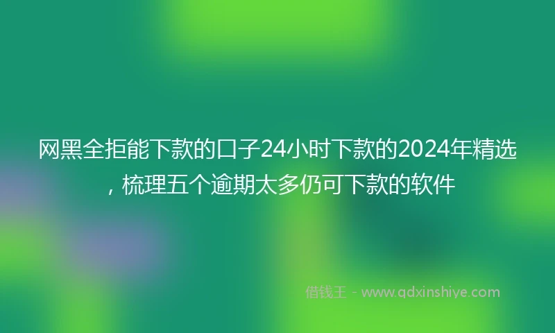网黑全拒能下款的口子24小时下款的2024年精选,梳理五个逾期太多仍可下款的软件