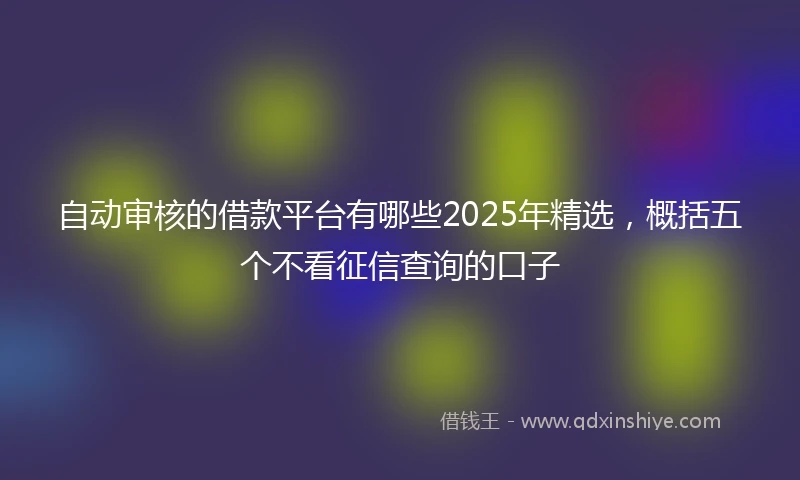 自动审核的借款平台有哪些2025年精选，概括五个不看征信查询的口子