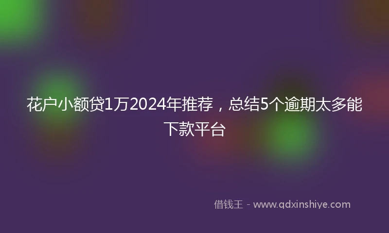 花户小额贷1万2024年推荐，总结5个逾期太多能下款平台