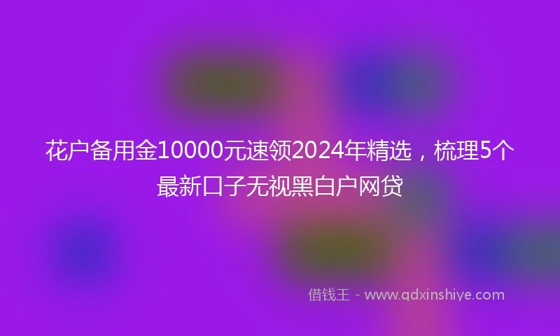 花户备用金10000元速领2024年精选，梳理5个最新口子无视黑白户网贷