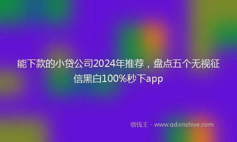 能下款的小贷公司2024年推荐，盘点五个无视征信黑白100%秒下app