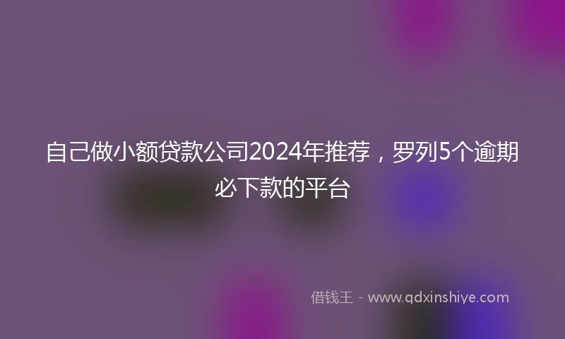 自己做小额贷款公司2024年推荐，罗列5个逾期必下款的平台