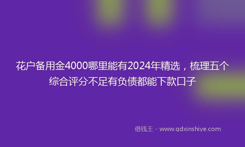 花户备用金4000哪里能有2024年精选，梳理五个综合评分不足有负债都能下款口子