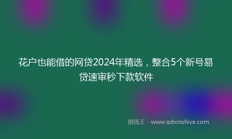 花户也能借的网贷2024年精选，整合5个新号易贷速审秒下款软件