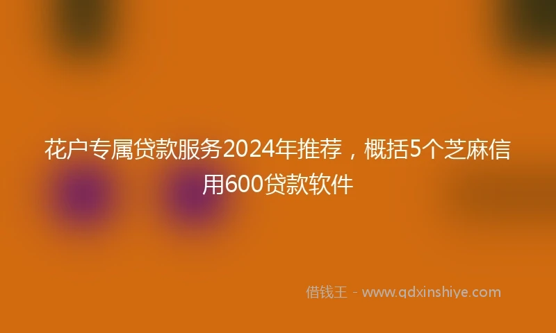 花户专属贷款服务2024年推荐，概括5个芝麻信用600贷款软件
