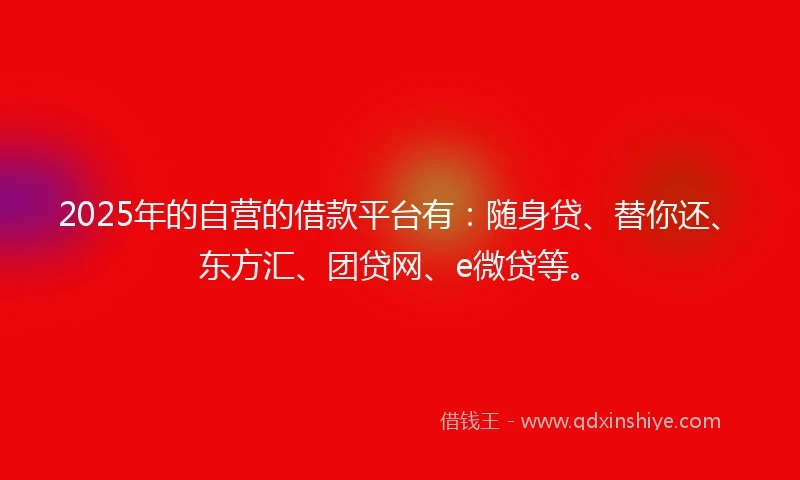 2025年的自营的借款平台有：随身贷、替你还、东方汇、团贷网、e微贷等。