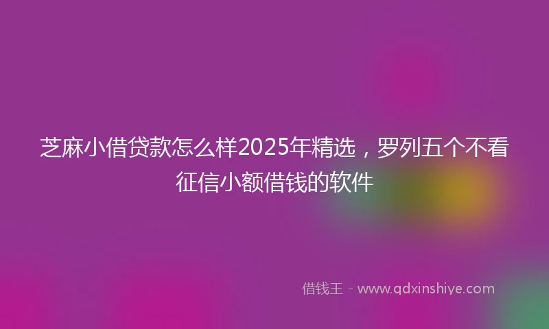 芝麻小借贷款怎么样2025年精选，罗列五个不看征信小额借钱的软件