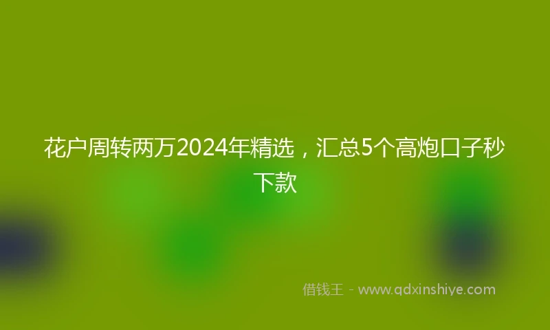 花户周转两万2024年精选，汇总5个高炮口子秒下款