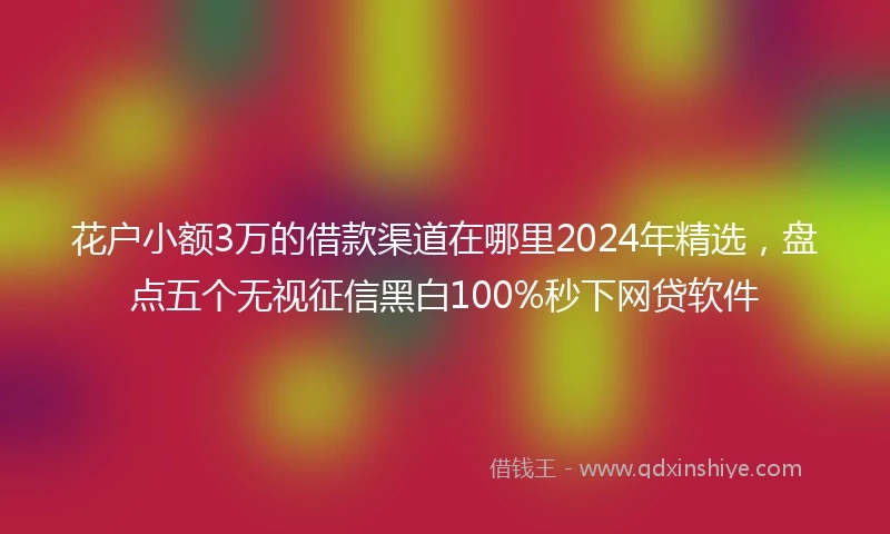 花户小额3万的借款渠道在哪里2024年精选，盘点五个无视征信黑白100%秒下网贷软件