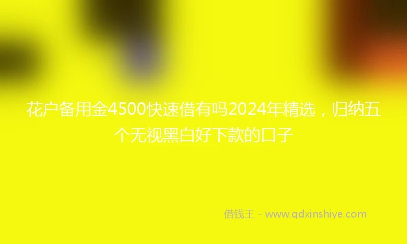 花户备用金4500快速借有吗2024年精选，归纳五个无视黑白好下款的口子