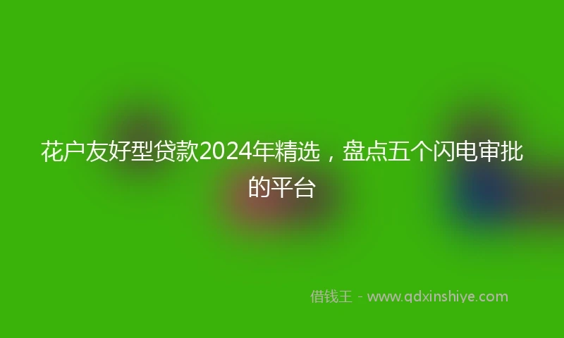 花户友好型贷款2024年精选，盘点五个闪电审批的平台