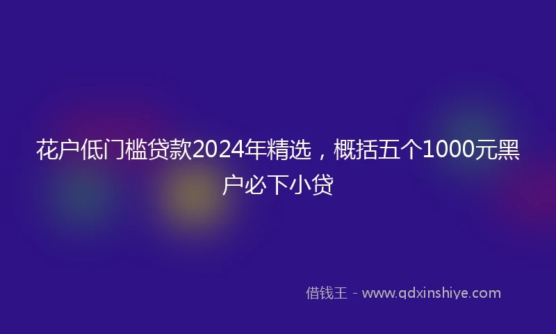 花户低门槛贷款2024年精选，概括五个1000元黑户必下小贷