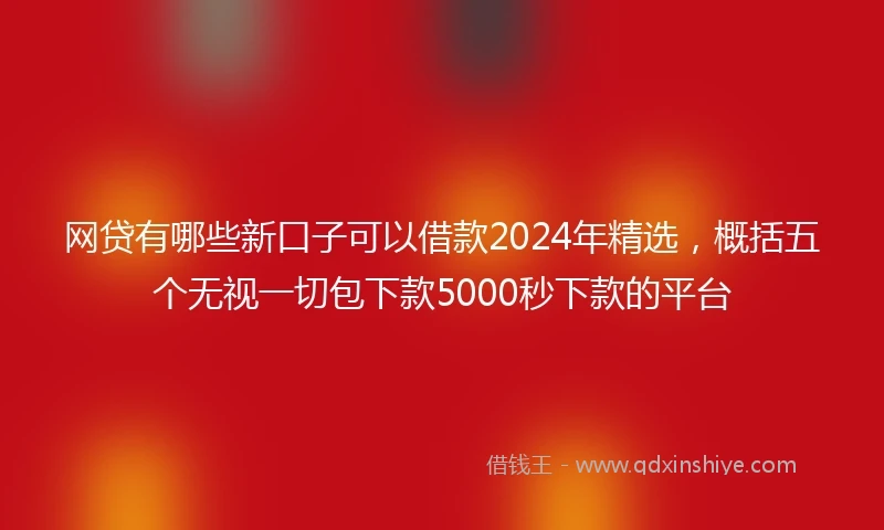 网贷有哪些新口子可以借款2024年精选，概括五个无视一切包下款5000秒下款的平台