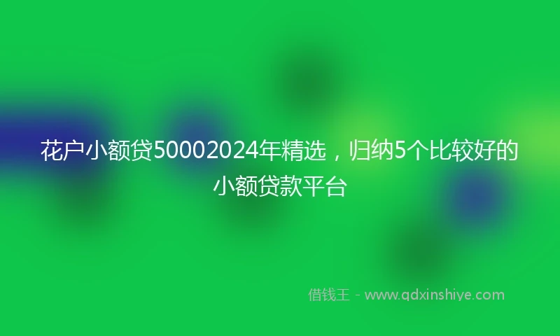 花户小额贷50002024年精选，归纳5个比较好的小额贷款平台