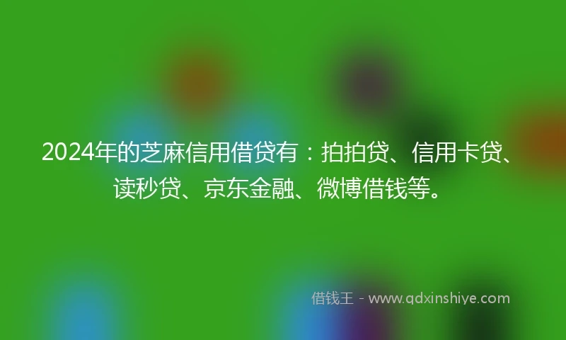 2024年的芝麻信用借贷有：拍拍贷、信用卡贷、读秒贷、京东金融、微博借钱等。